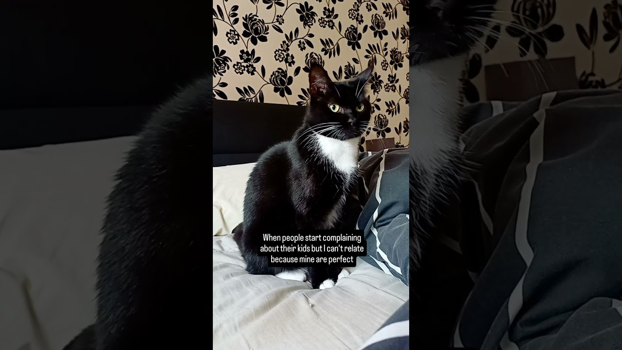 When people start complaining about their kids… 😇✨