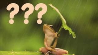 Full What are Frogs, Mulder Update
