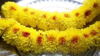 Sevanthi Flower Mala Chrysanthemum Simple And Easy Way To String Flower Garland Making At Home