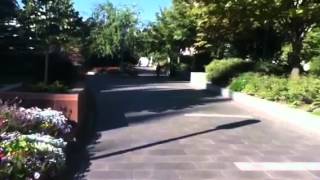 Temple Square In Salt Lake City