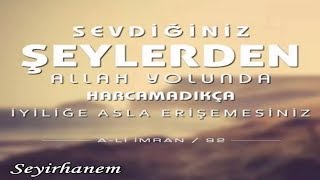 Sevdiğiniz şeylerden Allah yolunda harcamadıkça iyiliğe asla erişemezsiniz. (Al-i İmran/92)