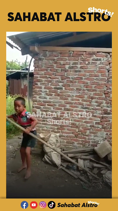 Bocah tetangga panik saat ketahuan mencuri mangga