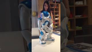 Nao robot  introduces himself... and blips!