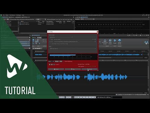 Audio Editor Overview | WaveLab Cast 2