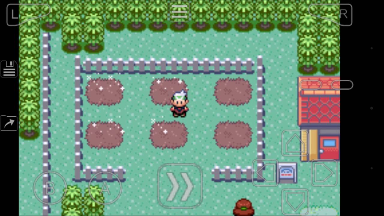 What growing berries actually look like in Pokémon Emerald YouTube