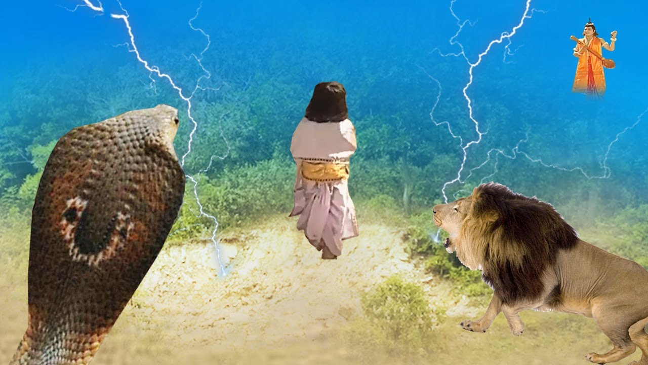 जब हरी विष्णु को पाने के लिए जंगलों में घुसा नन्हा ध्रुव | Superhit Story Of Bhakt Dhruv Or Vishnu