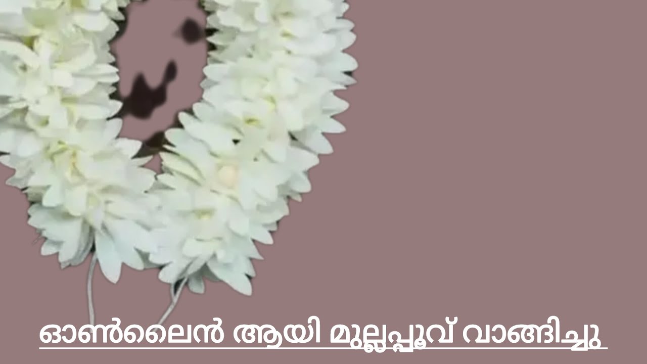 മുല്ലപ്പൂ ഇഷ്ടമുള്ളവർ ആണോ നിങ്ങൾ.. എങ്കിൽ ഇതൊന്ന് കണ്ട് നോക്കു @muhmi ...