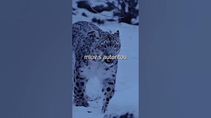 5 pravidel, jak mluvit jako ALFA  #shortvideo #shorts #motivace #seberozvoj