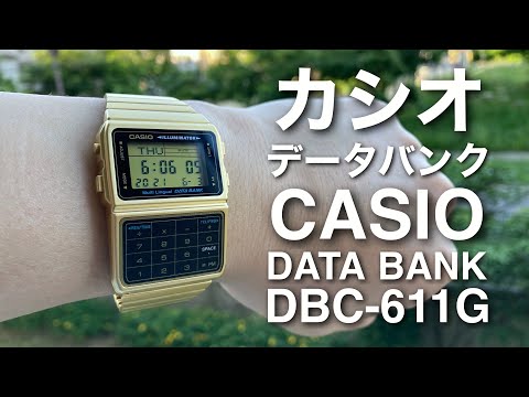 カシオ データバンク DB580G