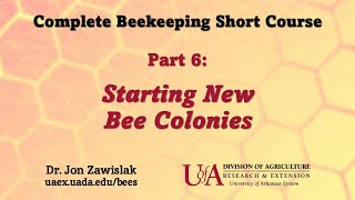 Part 6: Starting New Bee Colonies