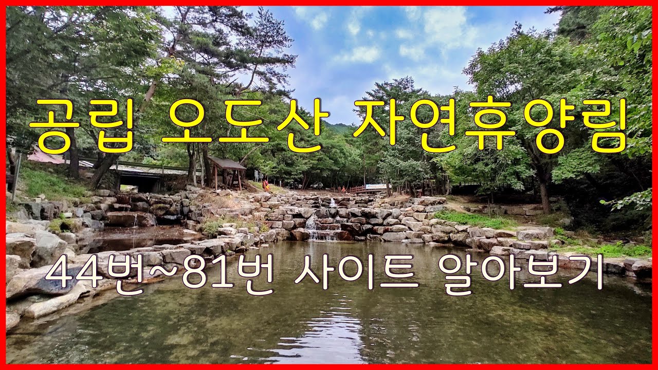 공립 오도산 자연휴양림  야영장 (44번~81번)사이트 알아보기
