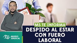 MS Informa #123: Despido al estar con fuero laboral