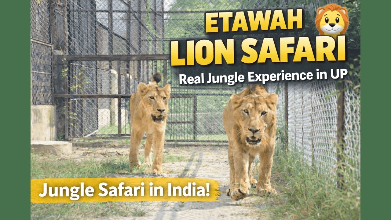 India’s Hidden Safari Spot | Etawah Lion Safari | Full Tour