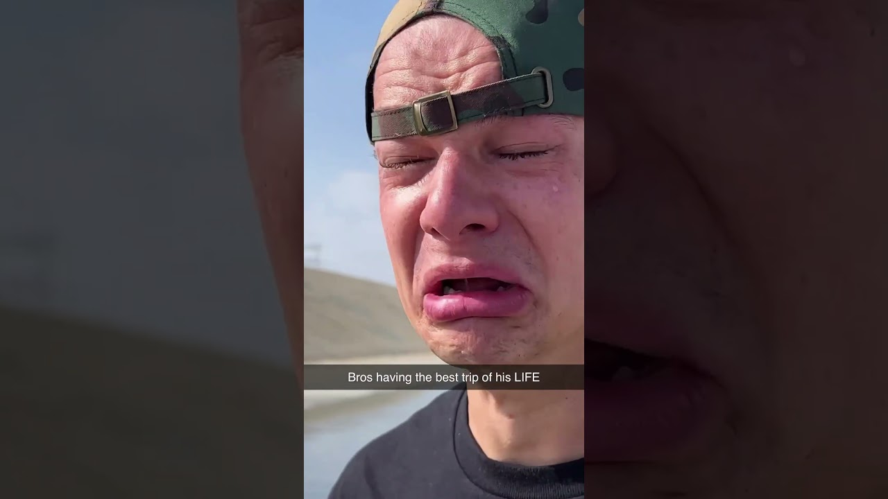 Он думал, что черепах на самом деле там нет 💀