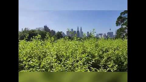 Short video of Taman Tasik Titiwangsa surroundings
