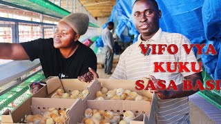 CHANGAMOTO 10 ZA UFUGAJI WA KUKU