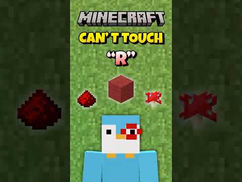Minecraft, But I Can’t Touch Something That Starts With The Letter “R”
