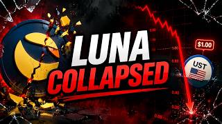 Famous $40 Billion Gone: The Fall of Terra Luna Profile