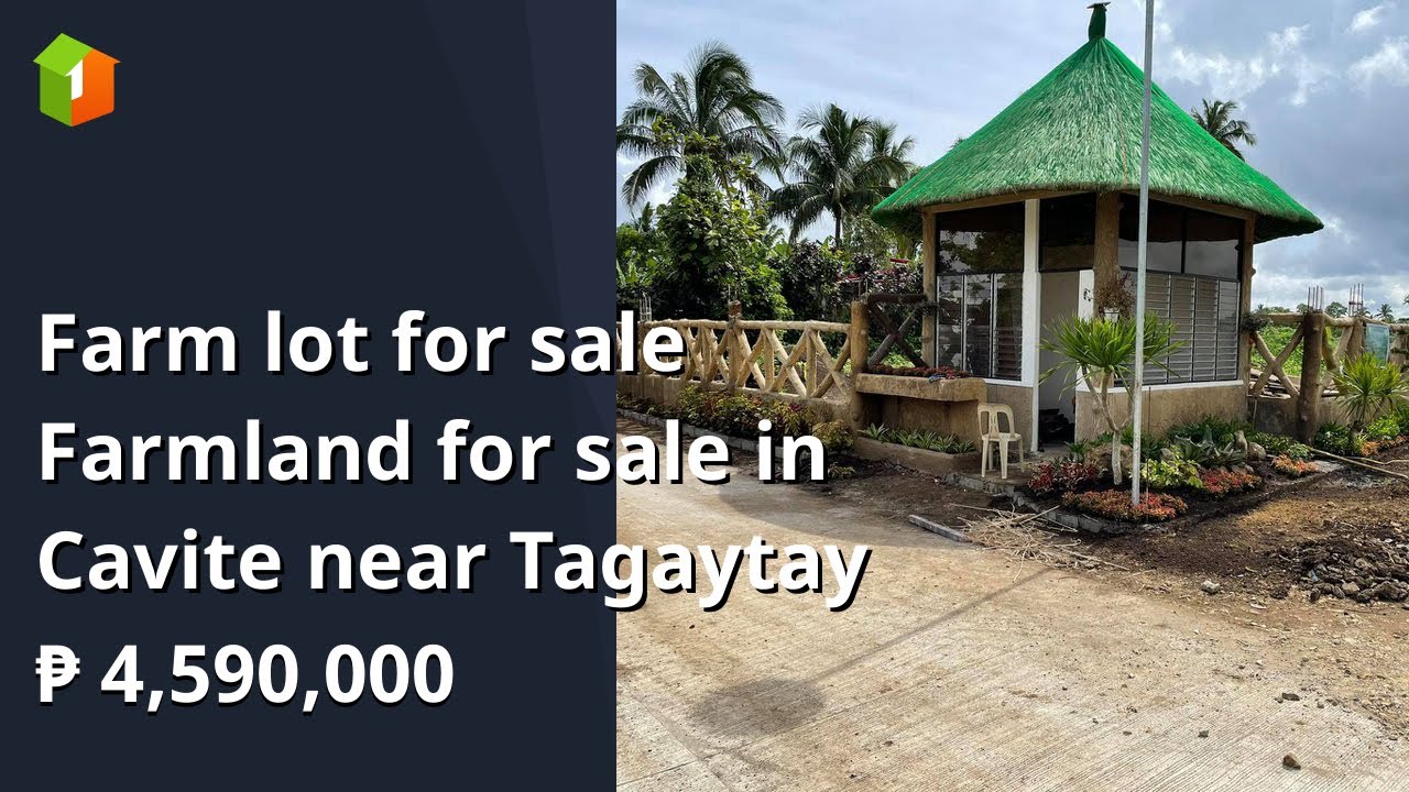 Farm lot for sale Farmland for sale in Cavite near Tagaytay YouTube