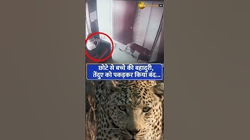 Incredible bravery: 12-Year-Old Boy Saves Entire Village from Leopard Attack in Nashik!