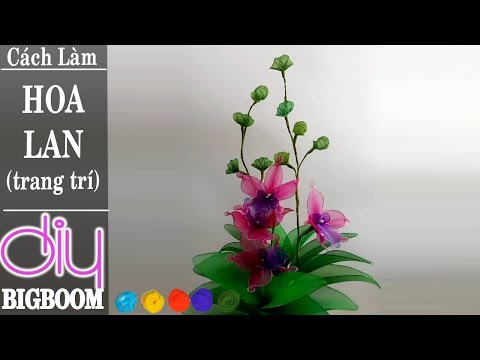 Video Hướng dẫn cách tự làm Hoa Lan bằng vải voan đơn giản |... - youtube