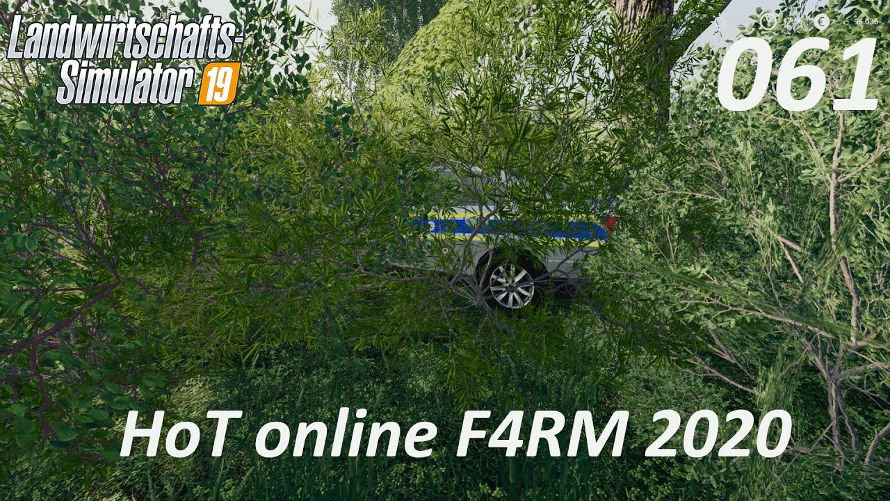 LS19: HoT online F4RM 2020 