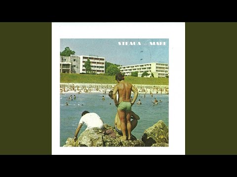 Steaua de Mare — Ork Style (Original Mix)
