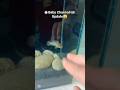 🔥 #channafish #bettafish #fish #shortvideo #viralvideo #shorts #trending #youtubeshorts