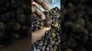 Gorontula Secret screenshot 2