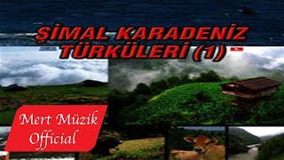 Cemal Kadirkaya - Meşoraşın Deresi Resimi