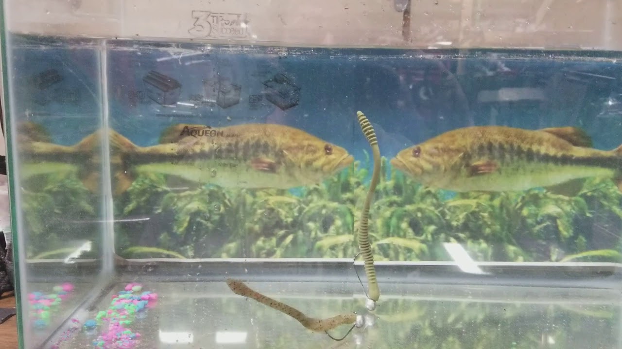 Mudd Butt Baits 7" Mudd Worm Floating bait vs non floating bait.