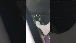 Gas Pedal Blue Archive - Misono Mika Revving Pedal Foot Cam