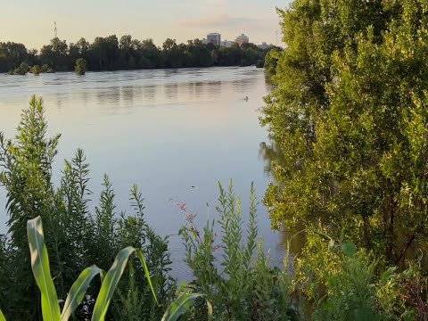 Pearl River County Inmatetimeline