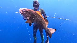 spearfishing di Maluku Utara#PART 1 ||