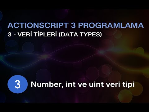 3/3 Number, int ve uint veri tipi