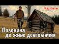 Карпати Полонина де живе довголіття Шукаю вовків під Петросом Long Lived Carpathians 