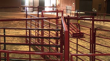 Ron Gill - Stockmanship - Advice for Crowd Pens