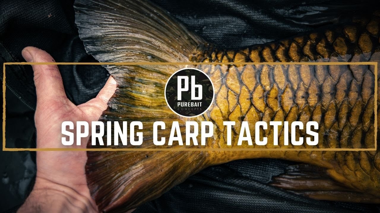 SPRING CARP TACTICS ~ Carp Location and Baiting Campaigns - YouTube