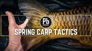 SPRING CARP TACTICS ~ Carp Location and Baiting Campaigns