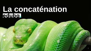 07 la concatenation en python