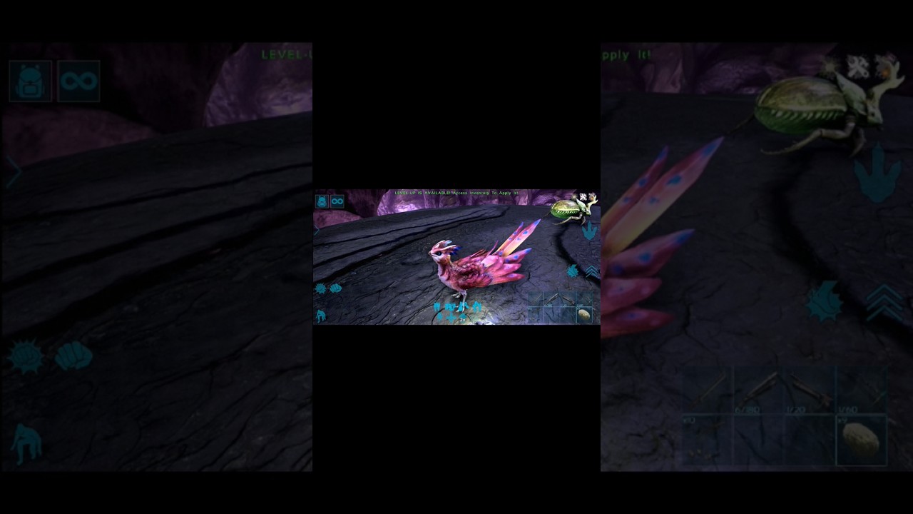 Taming Featherlight 😍 