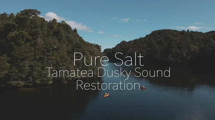 Tamatea Dusky Sound Restoration (60 sec)