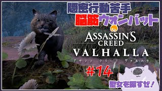 【脳筋アサクリ１４】ASSASSINS CREED VALHALLA 【#こむらいぶ】
