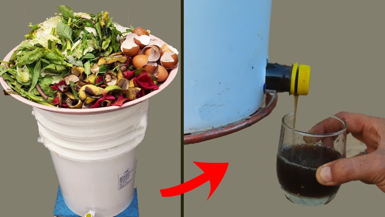 لا تتحلض ابدا من بقايا الطعام اعمل منها اقوى سماد سائل واحسن تربة عضوية خصبة تباع بأسعار مرتفعة