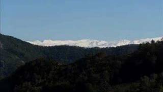 Fındıklıfoşaarsintrabzon