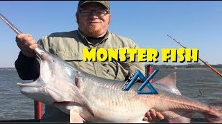 Monster Fish - How to Snag Fish - Spoonbill Paddlefish
