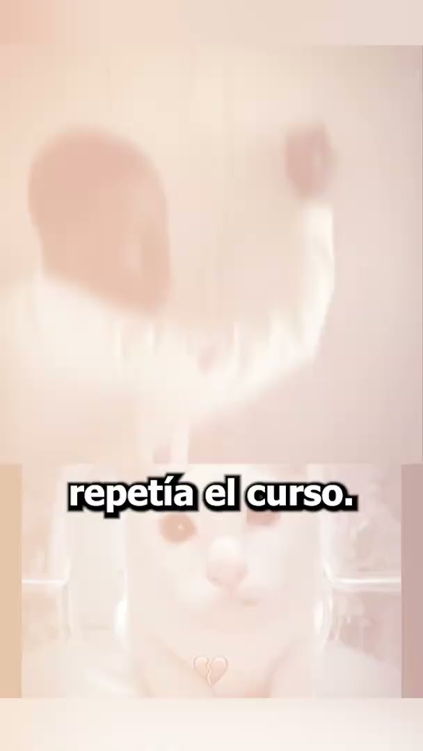 No SALIO como PENSABA la AYUDA   ?