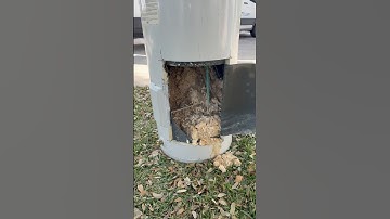 What’s Inside This Water Heater? 🤢