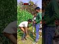 holi me majak nhi  😂😂 #comedy #holicomedy #shorts