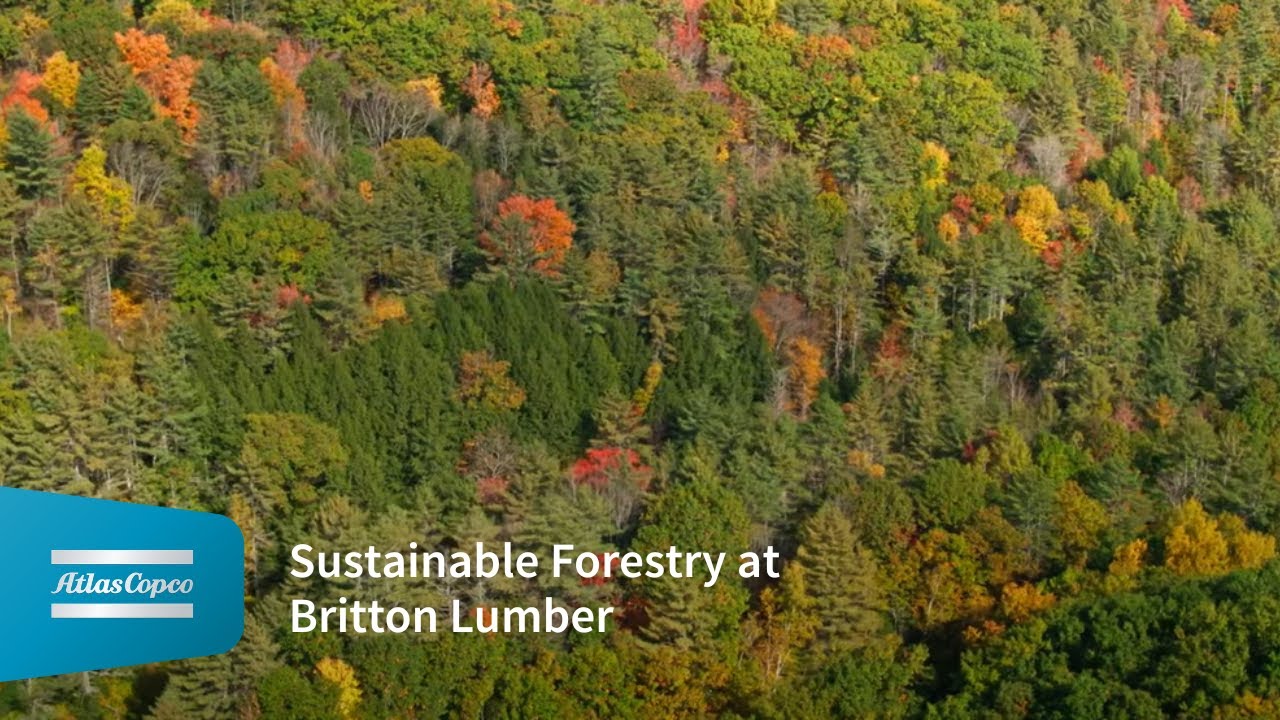 Sustainable Forestry at Britton Lumber | Atlas Copco Compressors